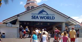 List Of Former Sea World Attractions Wikipedia