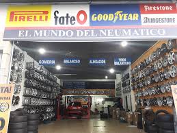 EL MUNDO DEL NEUMATICO