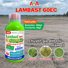 Lambast 60EC