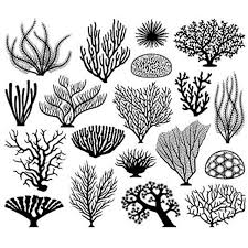 Background Ocean Floor Clipart Black And White Set Of 2 Waterproof Temporary Fake Tattoo Stickers Black Tree Ocean Seaweed Coral Cool Check Out The Image By Coral Drawing Coral Art Sea Creatures Drawing