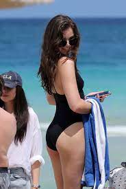 H Steinfeld Body Composition