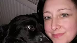 Dog 'hallucinates' and collapses after touching washed up jellyfish