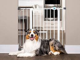 Seals tightly against the weather. Best Dog Gates Of 2021