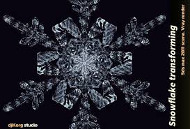 Snowflake Transforming 3d Animation 3d Model 3d Animation Snowflakes Animation