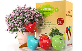 Maybe you would like to learn more about one of these? Best Self Watering Stakes For Indoor Plants Buying Guide Garden Lovers Club