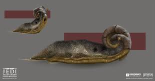 Slyyyg Star Wars Universe Star Wars Creatures