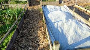 You can also accept logs for firewood, this will increase your chance of getting wood chips sooner. Using Woodchips In Allotment Garden Allotment Garden Diary