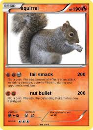 Pokemon squirrel 306