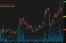 The top growth stocks for 2021 revealed << best stocks under $1 with potential. B E S T P E N N Y S T O C K S F O R 2 0 2 1 Zonealarm Results