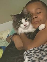 Looking for our cat, Andy. He was last seen