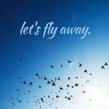 Fly away, by all angels, 2009. Let S Fly Away Social Media Marketing Quotes Girl Drama Travel Inspiration