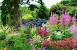 Patio Cottage Garden