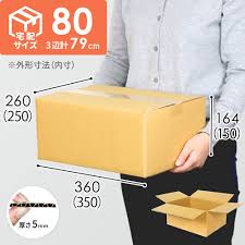 宅(たく)配(はい)する • (takuhai suru) suru (stem 宅(たく)配(はい)し (takuhai shi), past 宅(たく)配(はい)した (takuhai shita)). å®…é…80ã‚µã‚¤ã‚º å®šç•ªæ®µãƒœãƒ¼ãƒ«ç®± Da004 æ¢±åŒ…æ é€šè²©no 1 ãƒ€ãƒ³ãƒœãƒ¼ãƒ«ãƒ¯ãƒ³