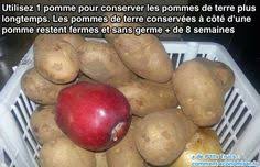 L Astuce Infaillible Pour Empecher Les Pommes De Terre De Germer Conseils Alimentaires Trucs Et Astuces Cuisine Pomme De Terre Germee