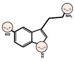 Cute Cartoon Serotonin Molecule Art Print By Alice Vacca X Small In 2020 Molecule Art Serotonin Molecule Art Serotonin Molecule