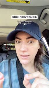 I am THE baby, #dachshund #longhaireddachshund #dachshundsofinstagram  #minidachshund #doxie #minidoxie #dachshunds #doxiesofinstagram  #creamdachshund #puppy #joke #doxielove