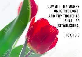 Love quotes 84.5k life quotes 65.5k inspirational quotes 63k humor quotes 39k philosophy quotes 25.5k god quotes 23.5k inspirational quotes quotes 22.5k truth quotes 21k wisdom quotes 20.5k poetry quotes 18.5k romance quotes 18k Bible Quotes On Blooming Red Tulip Flower Background Card With Text Sign For Believers Inspirational Verse Thoughts Christian Verse Text For Praying Stock Photo Picture And Royalty Free Image Image 155397201