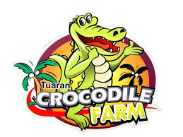 Film hot indonesia, rahma azhari buka baju no sensor depan kamera. Tuaran Crocodile Farm Posts Facebook