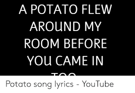 A potatoe flew around my room b4 you came on itunes via remix gang get it now. A Potato Flew Around My Room Before You Came In Potato Song Lyrics Youtube Youtube Com Meme On Me Me