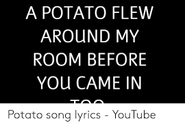 A potato flew around my room before you came…. A Potato Flew Around My Room Before You Came In Potato Song Lyrics Youtube Youtube Com Meme On Me Me