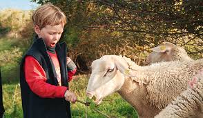 Die jakobsberger milchhandwerker sind ein kleiner familiengeführter bauernhof mit geschlossenem hofkreislauf. Willkommen Auf Dem Jakobsberg Demeter E V