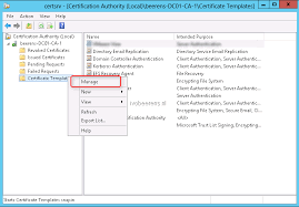 Create A Signed Certificate For Vmware View Connection Servers Using A Windows Server 2012 Ca Ivobeerens Nl