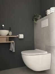 mooi ingericht toilet small toilet room small bathroom small toilet