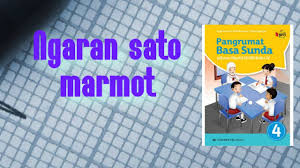 17.50 cm x 25.00 cm berat buku : Bahasa Sunda Kelas 4 Sd Ngaran Sato Marmot Halaman 23 Buku Erlangga Youtube