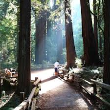Muir Woods Reservations Home Muir Woods National Monument Muir Woods National Monuments
