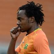 Girlfriend, cars, house,family, net worth. News24 Percy Tau