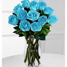 Download high quality flower pictures for your mobile, desktop or website. 12 Turquoise Blue Roses