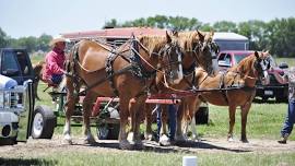 Heritage Festival
