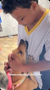 Hoje venho contar o lindo final feliz da nossa caramelo Luna, que agora se  chama Fátima. 🩷, Luna foi resgatada após as grandes chuvas na região de  Ipojuca, Pernambuco, junto com seus oito filhotes, em ...