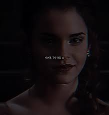 What Is Potter Fanfic by Seselina about