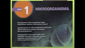 Mikroorganisma berfaedah sains spm tingkatan 5 chp mikroorganisma dan kesannya ke atas melalui pembelajaran ini, pelajar akan dapat mengenal pasti mikroorganisma yang berfaedah dalam. Sains Tingkatan 5 Kssm Bab 1 Mikroorganisma 1 1 Youtube