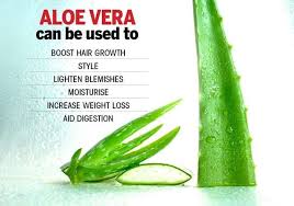 However, researchers believe that aloenin, a chemical compound in the plant, is a primary factor in. Amazing Aloe Vera Uses You Should Know Femina In