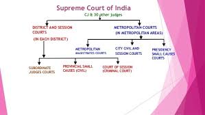 Flow Chart Of Writ Jurisdiction Of India Brainly In