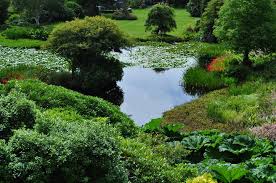 Taken At Glenwhan Dunragit Wigtownshire Garden Visits Outdoor Outlander
