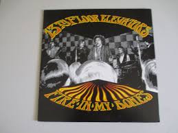 13 Th Floor Elevators Fire In My Bones Vinyl Lp Records Texas Archive Click The Image To Join The 13th Floor Elevators Facebook Group