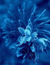 Wallpaper warna biru wallpaper download 41 accomodations asia. 150 Ide Walpaper Wallpaper Estetika Estetika Biru Pastel Wallpaper Iphone Biru