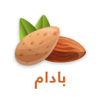 Badam - بادام