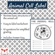 This worksheet will help you memorize the animal cell organelles. Label Animal Cells Worksheets Teaching Resources Tpt