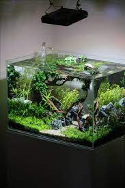 Best Aquascaping Design Ideas To Decor Your Aquarium Charming Easy Aquascaping Ideas Aquascaping Live Rock Ide Diy Fish Tank Aquascape Design Aquarium Fish