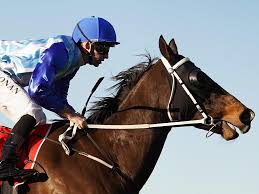 Jockey, Mornington Cup ambassador Jake Noonan discusses his property stable 