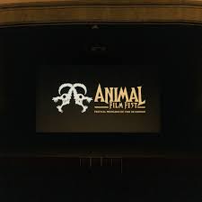 No se pueden evitar los límites.