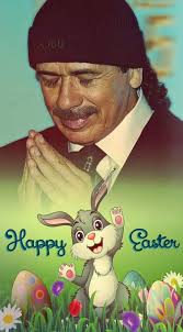 Buona Pasqua a tutti voi e alle vostre famiglie🐣🕊🌿❤ Happy Easter to all  of you and your families🐣🕊🌿❤