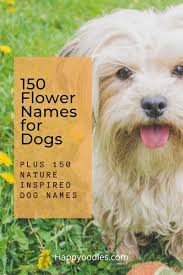 Flower Names For Dogs Plus Nature Inspired Dog Names Happy Oodles In 2020 Dog Names Best Dog Names Unusual Dog Names