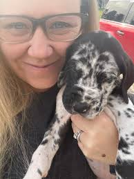 Any ideas for a cute dog tag for Ollivander?