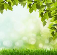 Oleh karena itu penting bagi kita untuk lebih cermat dalam memilih gambar. Nature Beautiful Green Grass Background Latar Belakang Bunga Cat Air Templat Power Point