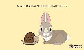 Apa Perbedaan Kelinci Dan Siput Penulis Cilik Kelinci Tulisan Siput